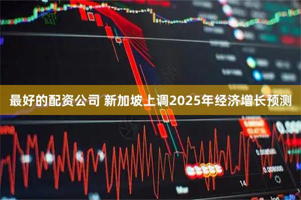 最好的配资公司 新加坡上调2025年经济增长预测