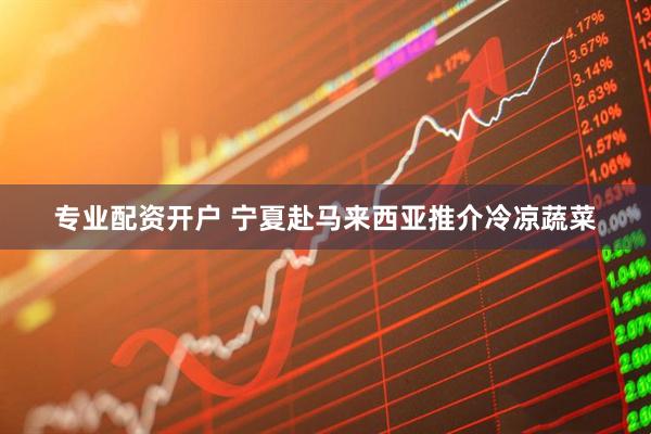 专业配资开户 宁夏赴马来西亚推介冷凉蔬菜